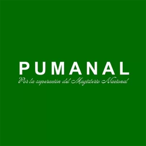 logo pumanal